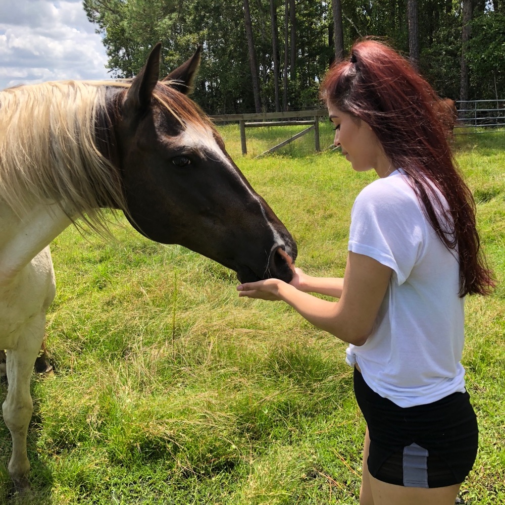 Meet your Posher, Samantha